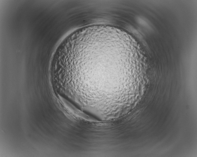 X0000082141427200702092114