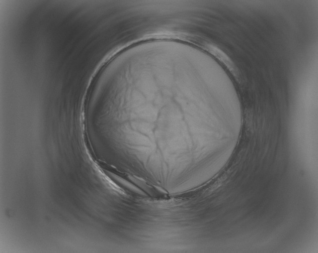 X0000082141428200702092114