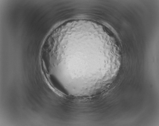 X0000082141429200702092114