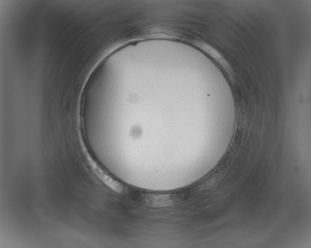 X0000082141431200702092114