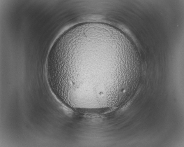 X0000082141432200702092114