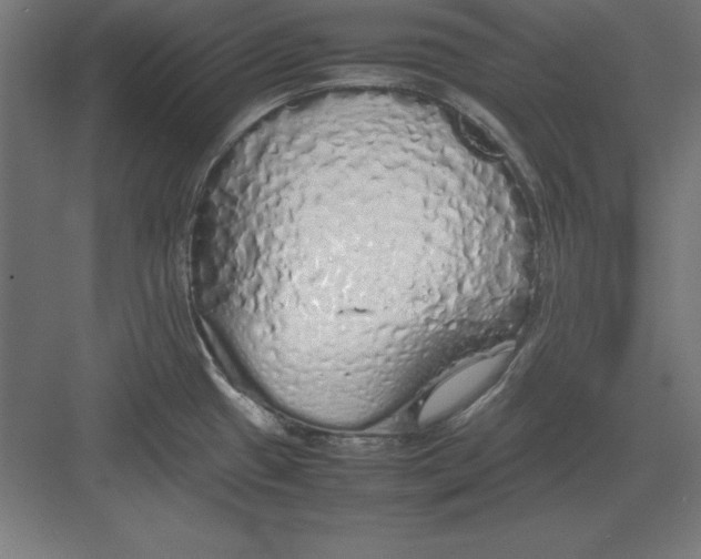 X0000082141433200702092114