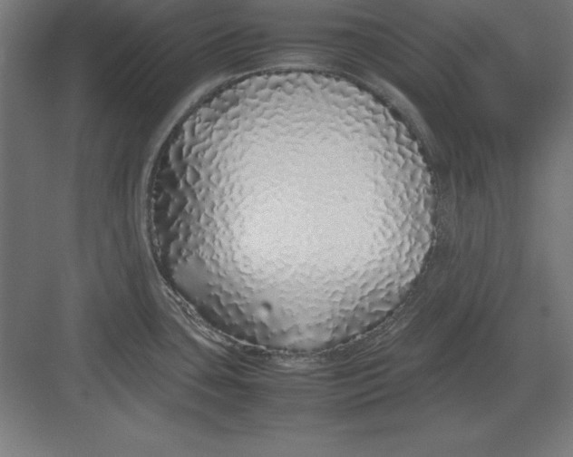 X0000082141435200702092114