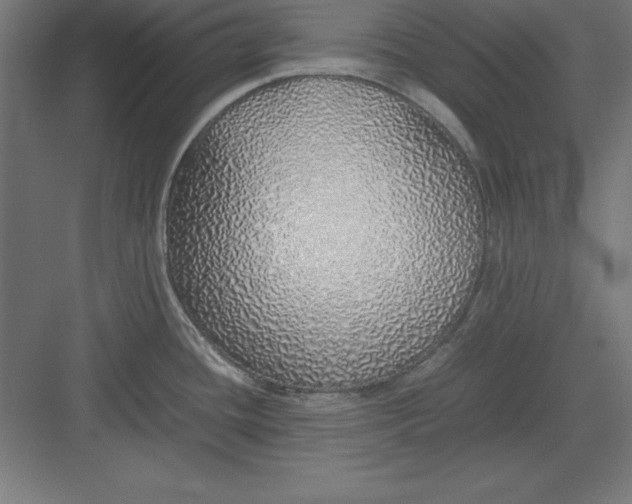 X0000082141436200702092114