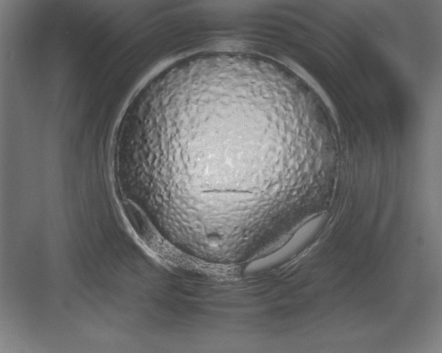 X0000082141437200702092114