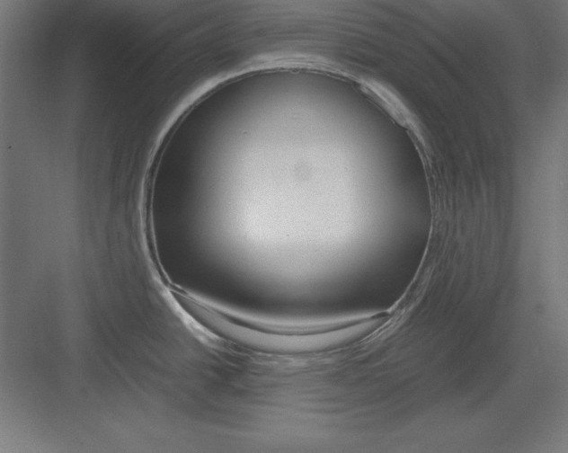 X0000082141438200702092114