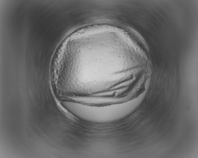 X0000082141439200702092114