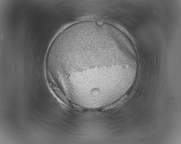 X0000082141440200702092114