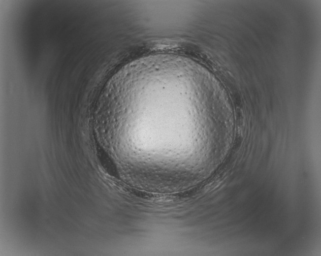 X0000082141441200702092113