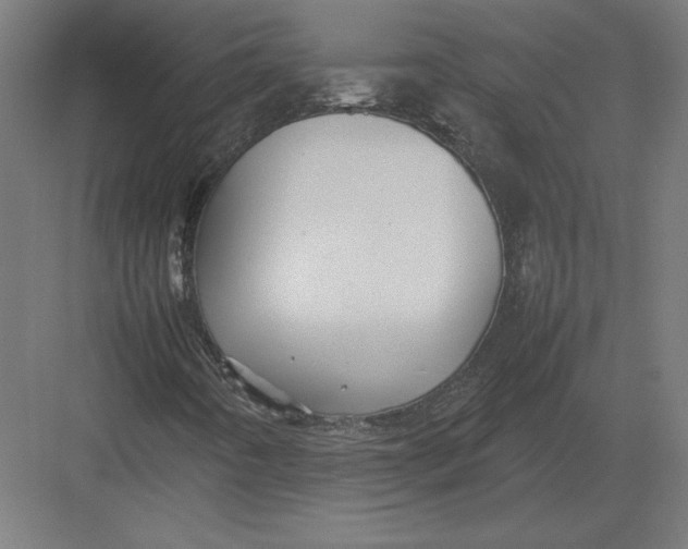 X0000082141442200702092113