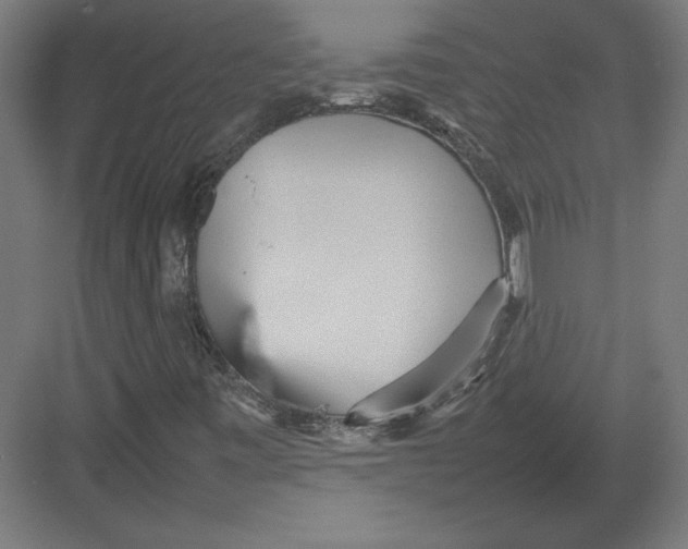 X0000082141443200702092113