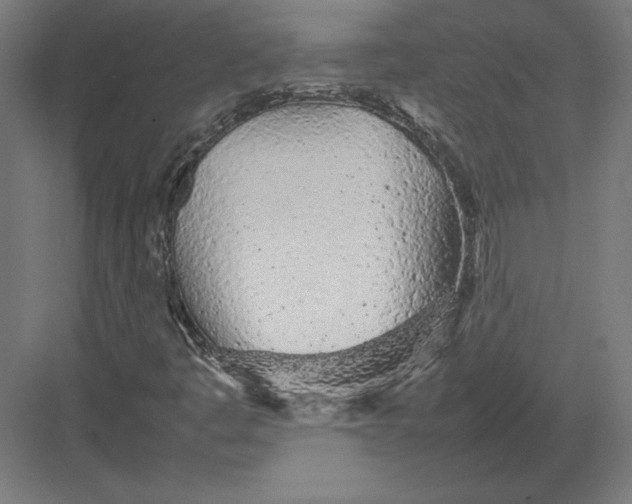 X0000082141445200702092113