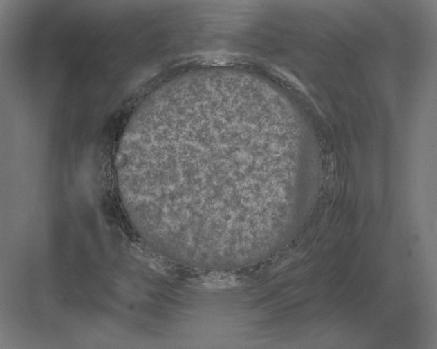 X0000082141446200702092113