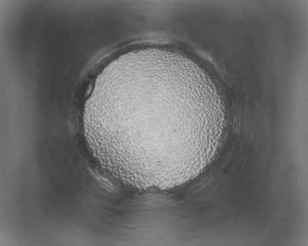 X0000082141448200702092113