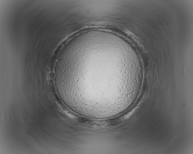 X0000082141449200702092113