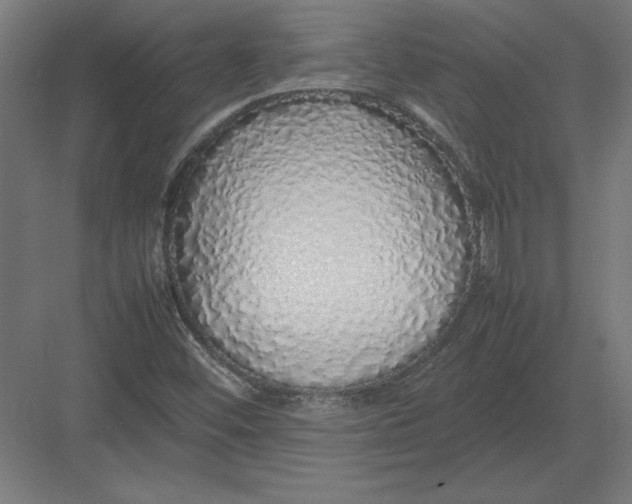 X0000082141452200702092113