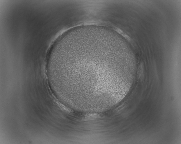 X0000082141454200702092113