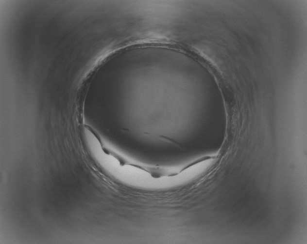 X0000082141455200702092113