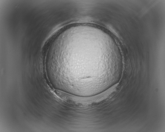 X0000082141456200702092113