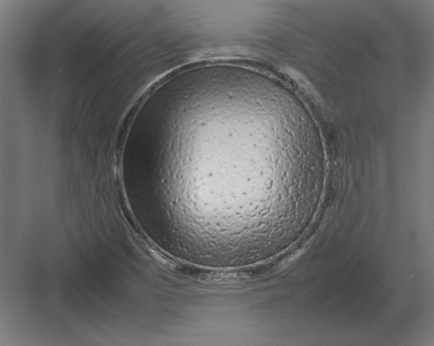 X0000082141457200702092113