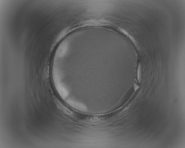 X0000082141459200702092113