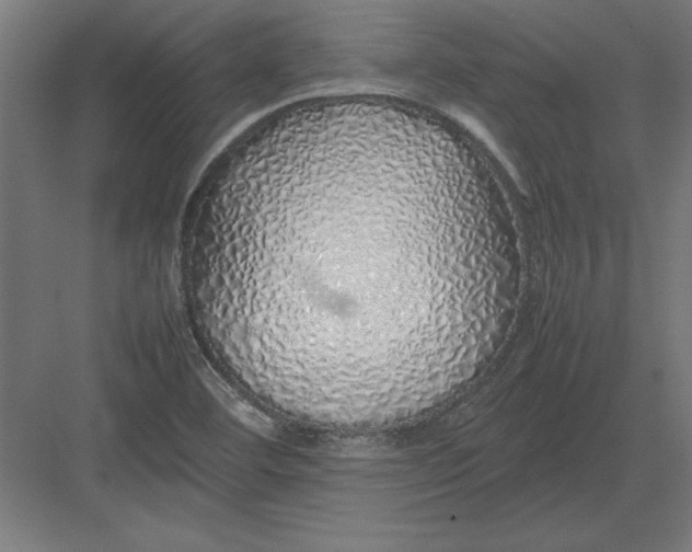 X0000082141460200702092113