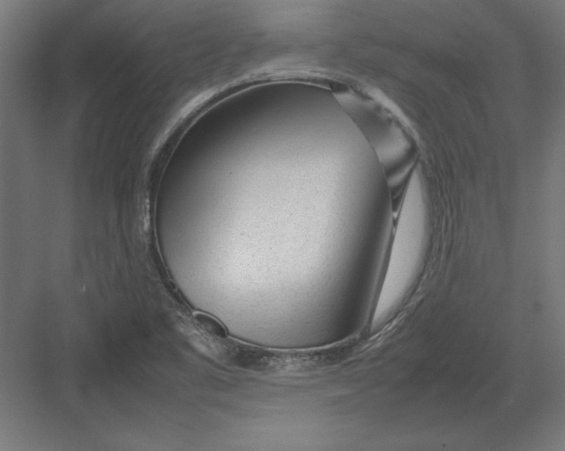 X0000082141461200702092113