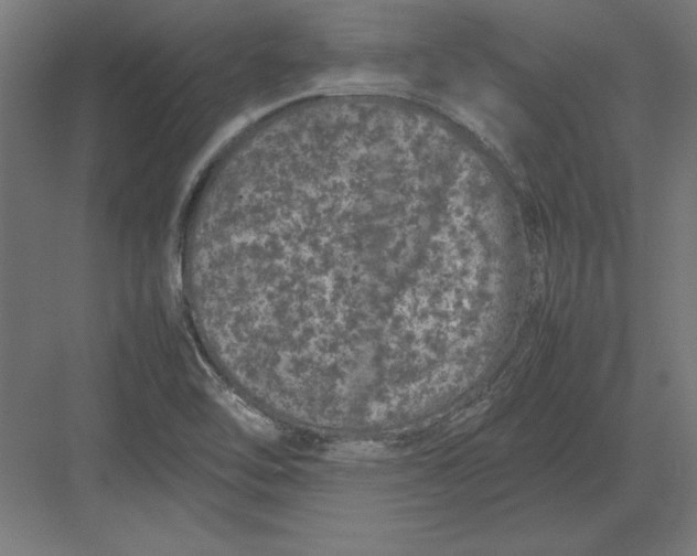 X0000082141462200702092113