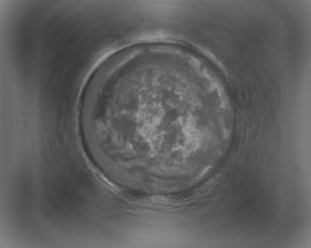 X0000082141463200702092113