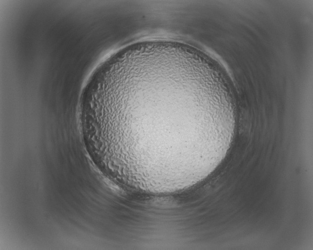 X0000082141464200702092113