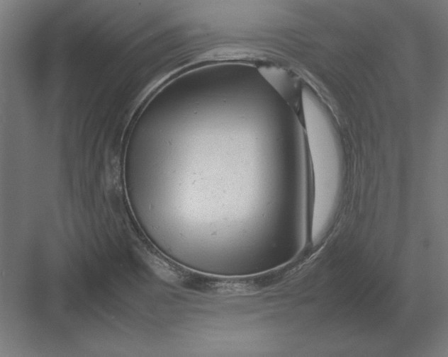 X0000082141465200702092113