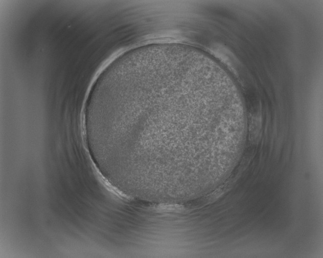 X0000082141466200702092113