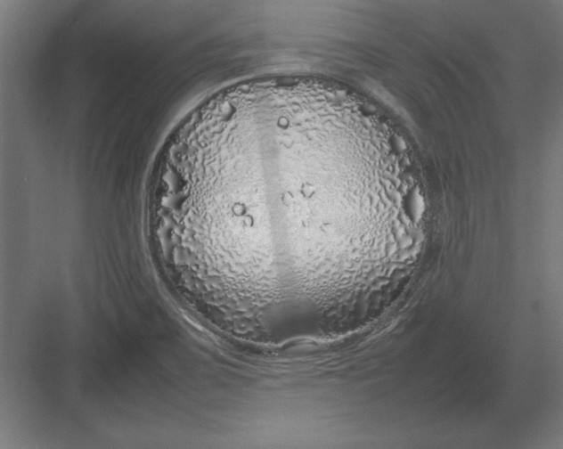 X0000082141467200702092113