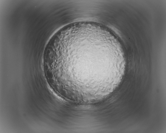 X0000082141468200702092113