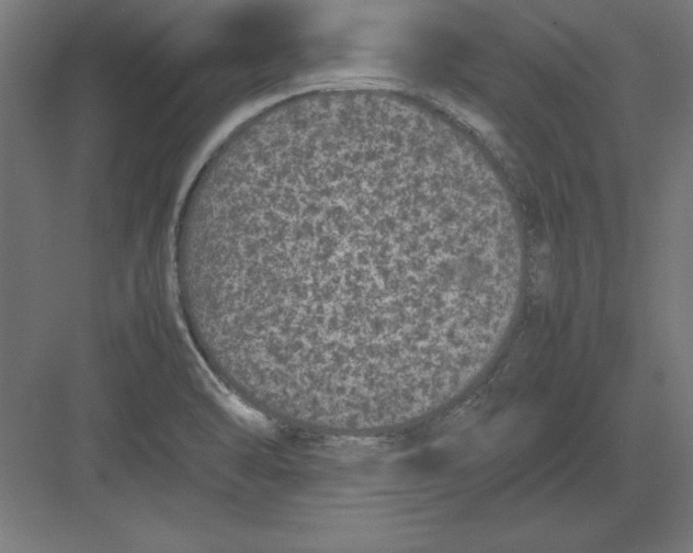 X0000082141470200702092112