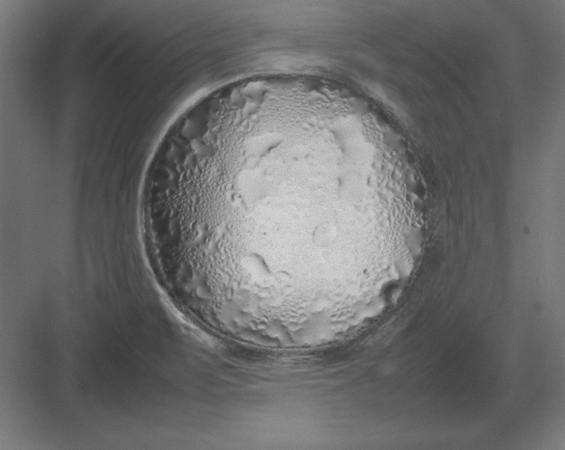 X0000082141471200702092112