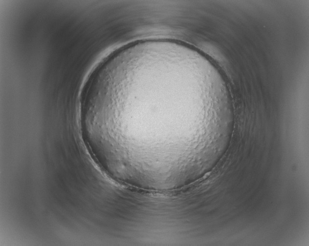 X0000082141472200702092112