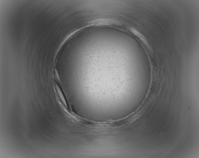 X0000082141473200702092112