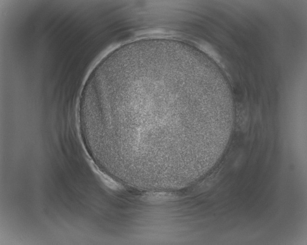 X0000082141474200702092112