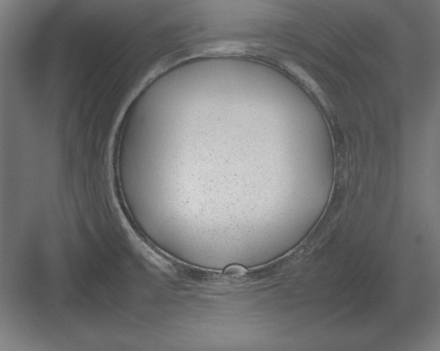 X0000082141475200702092112