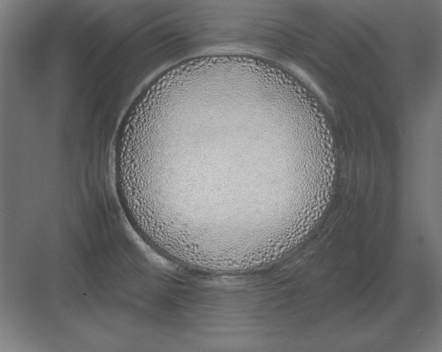 X0000082141476200702092112