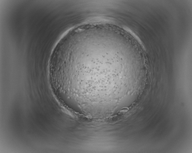 X0000082141477200702092112