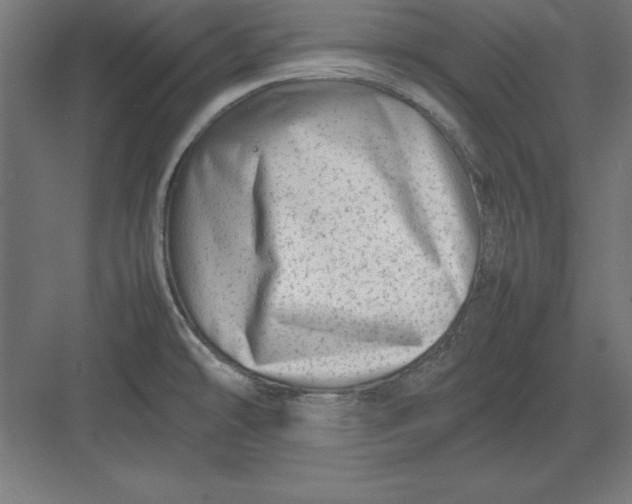 X0000082141478200702092112