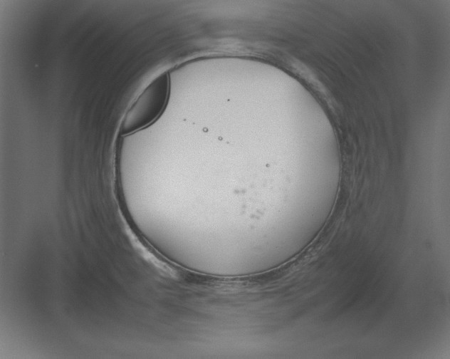 X0000082141479200702092112