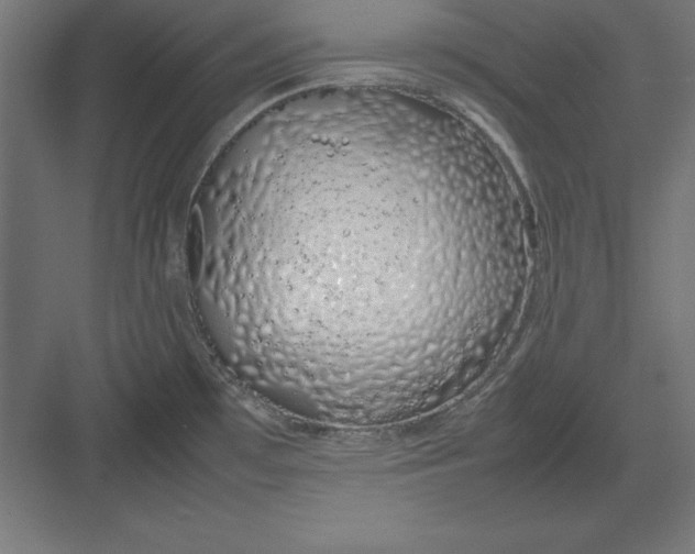 X0000082141481200702092112