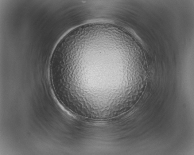 X0000082141484200702092112