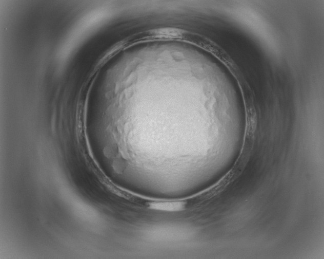 X0000082141487200702092112