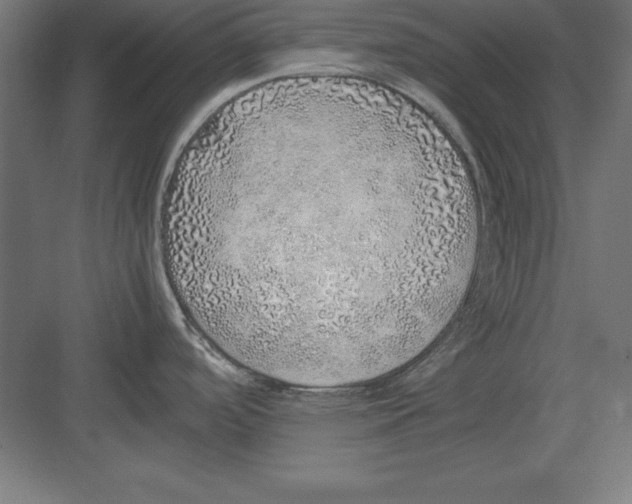 X0000082141488200702092112