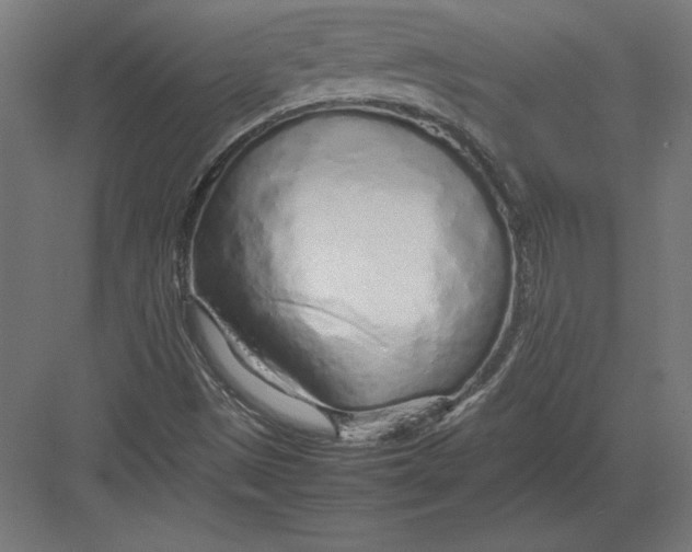 X0000082141497200702092112