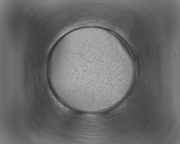 X0000082141500200702092112